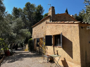 Véritable Bastidon Provençale